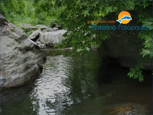 A river pool shaded by plane trees on Mount Pelion