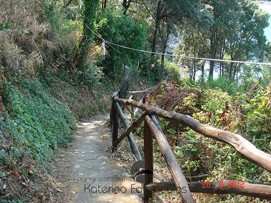 The stone path that leads down to the beach